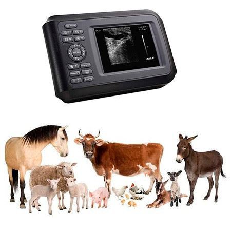 Portable Veterinary B&W Handheld Ultrasound Machine For Animal
