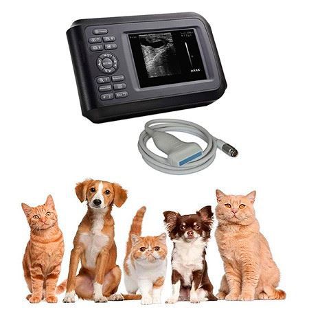 Portable Veterinary B&W Handheld Ultrasound Machine For Animal