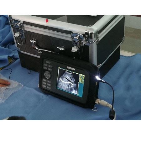 Portable Veterinary B&W Handheld Ultrasound Machine For Animal